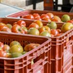 Banco de Alimentos de Cachoeiro fortalece parcerias com produtores rurais da região serrana