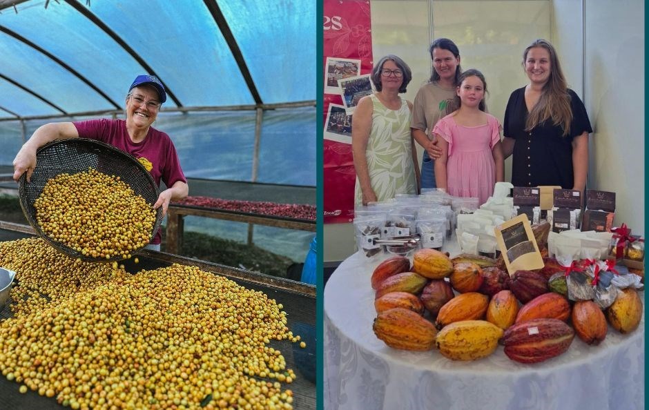 Leia mais sobre o artigo 