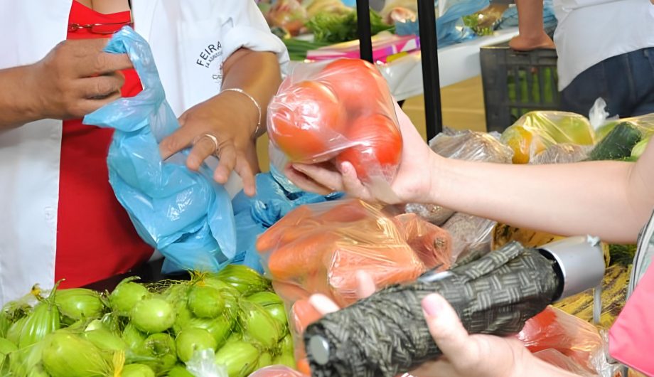 Leia mais sobre o artigo Feiras livres fortalecem agricultura familiar e garantem produtos frescos em Cachoeiro