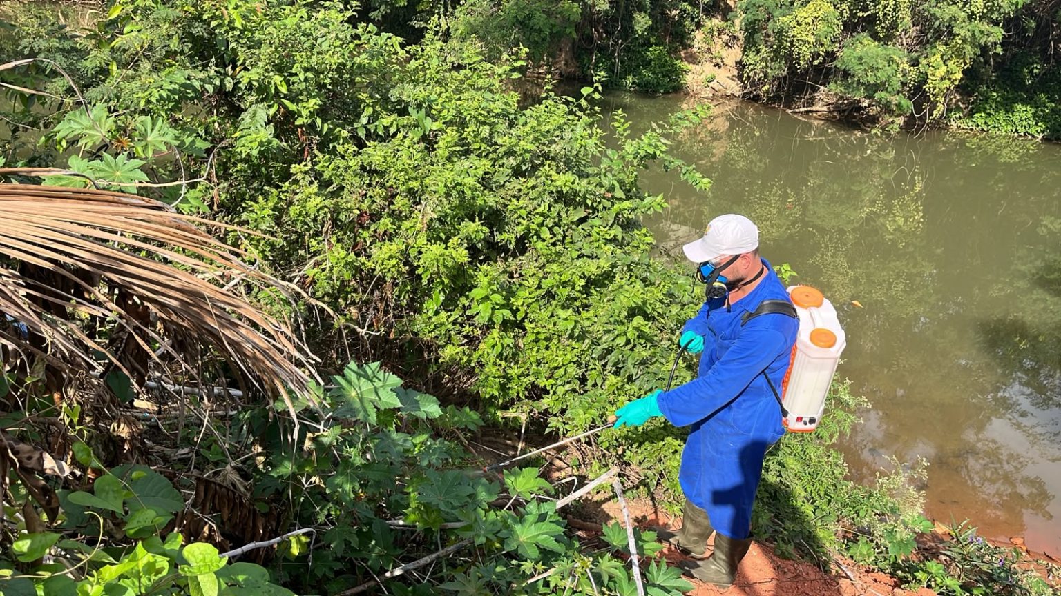 Leia mais sobre o artigo PREFEITURA DE CASTELO INTENSIFICA AÇÃO DE COMBATE AO CARRAPATO TRANSMISSOR DA FEBRE MACULOSA EM ÁREAS DE RISCO