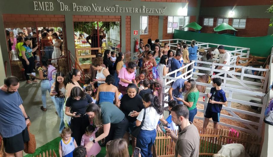 Leia mais sobre o artigo Educação ambiental é tema de Mostra Científica na Emeb Dr. Pedro Nolasco
